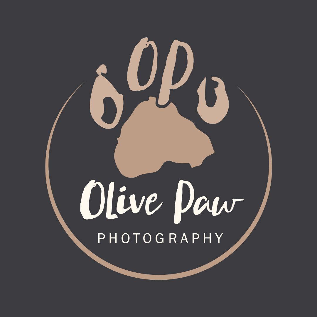 olive-paw
